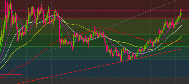 bitcoin halving