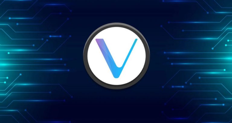Sunny LU VeChain CEO: What VeChain Is Offering To Different Level Of “Developers”