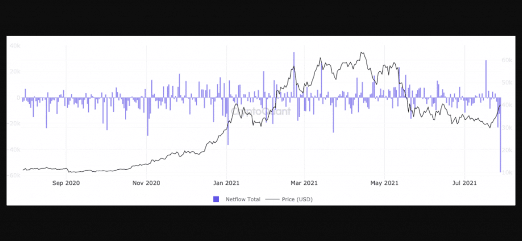 btc transfered in 24 hours