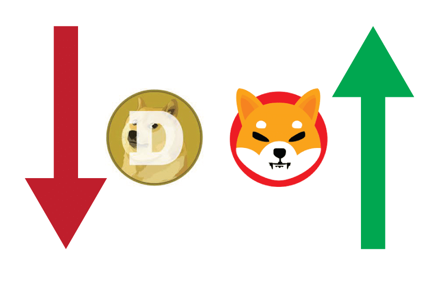 shibu Doge