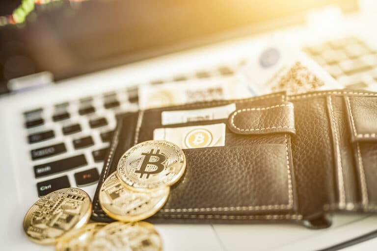 Top 5 Healthiest Crypto Wallets in the Pandemic