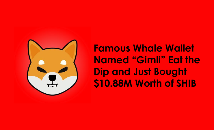 Famous Whale Wallet Named Gimli Eat the Dip and Just Bought 10.88M Worth of SHIB