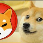 Koinbazar Join Kraken And Binance In Listing Shib, While AMC CEO Confirm Shiba Inu And Dogecoin Listing in March