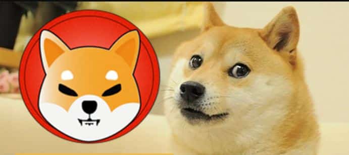 Decentralized Exchange Parex Added Support for Shiba Inu And Dogecoin