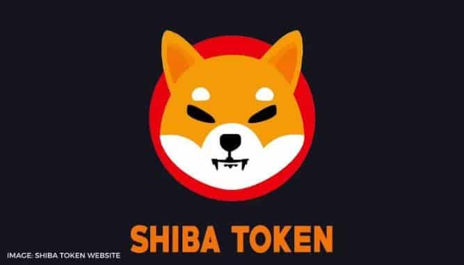 shiba inu 2