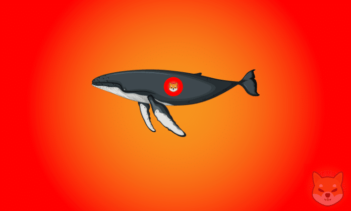 SHIBA-Whale
