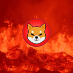 14.6M Shiba Inu Burned In Two Days But Such Burning Got Criticized By A Twitter Follower
