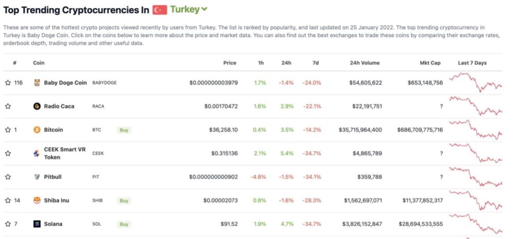 baby doge trending in turkey