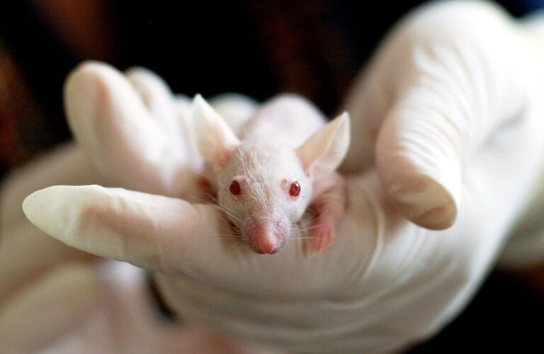A DAO Plan To Put Bitcoin in Mouse DNA