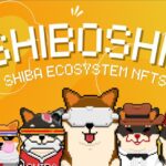 Shiboshi: Everything You Need to Know About Shiba Inu Non-Fungible Token