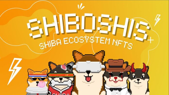Shiboshi: everything about shiba inu non fungible tokens (NFTs)