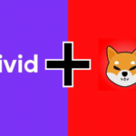 Europe Top Investing Platform Vivid Money Ready To Add Shiba Inu