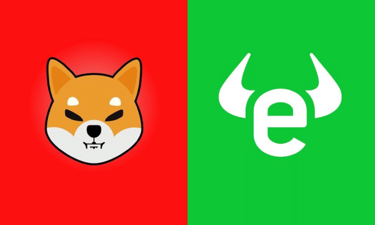 eToro Teases Shiba Inu Community: “We Saw…We Answered”