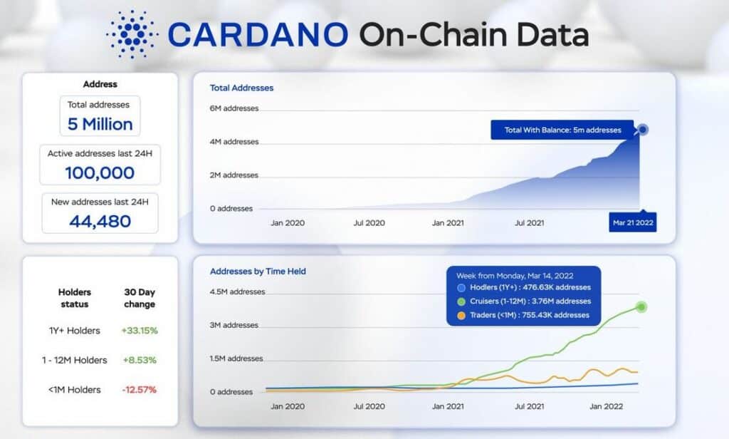 cardano 5m addresses