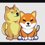 shiba doge