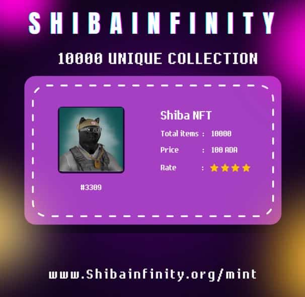 shiba infinity
