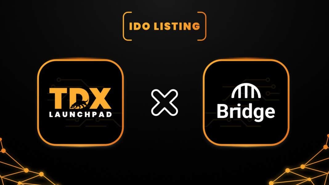 IDO Listing   Bridge Network X TDXPAD 1649422476EBw80y2Fzt