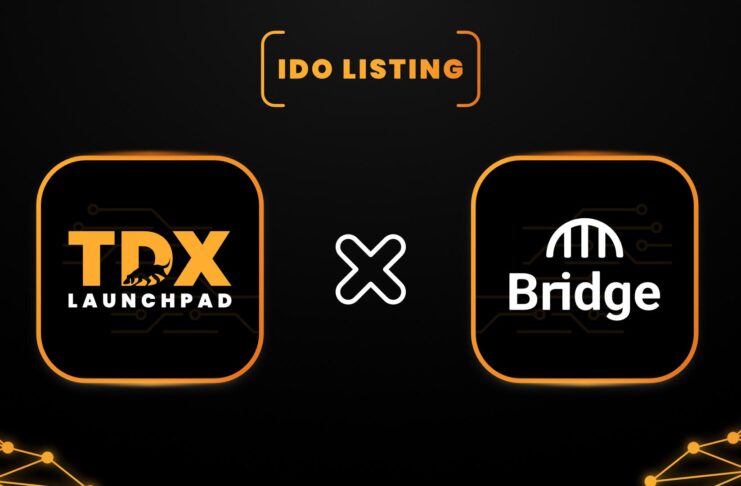 IDO Listing   Bridge Network X TDXPAD 1649422476EBw80y2Fzt
