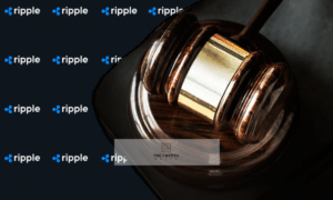 Ripple Law Case
