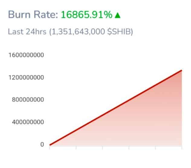 shib burn rate