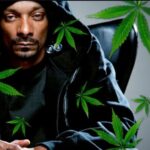 snoop dogg bringing weed metaverse farms