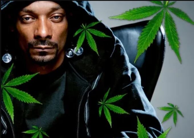 Cardano’s Clay Nation Partner Snoop Dogg & Son to Bring First Ever ...