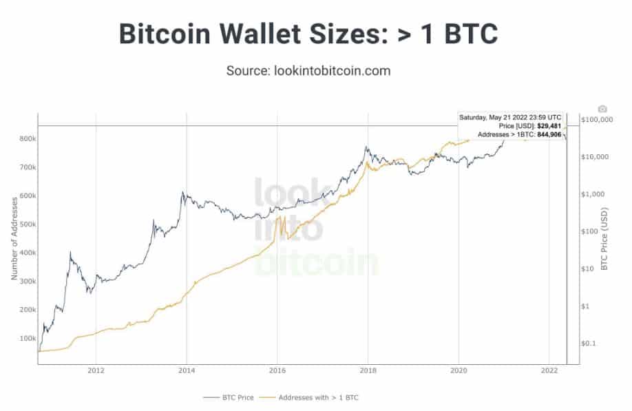détenteurs de bitcoins à un niveau record