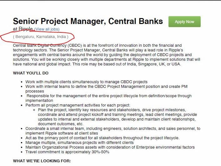 senior project manager