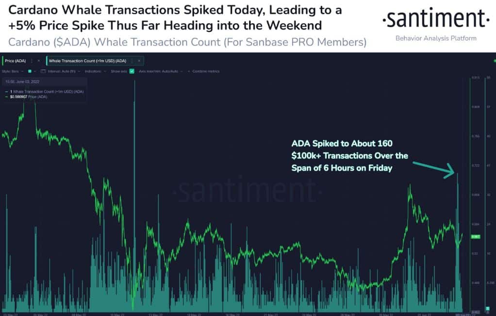 ada 160 transaction above 0K