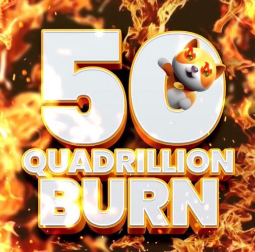 Biggest Burn Ever: Baby Doge Burns 50 QUADRILLION Coins Worth $88 Million In One Go