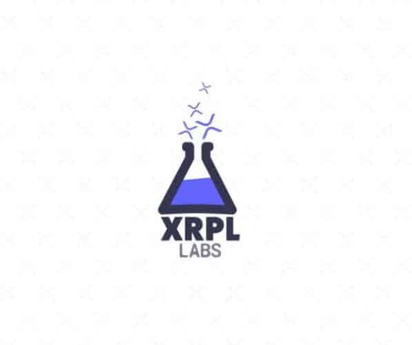 XRPL & Xumm Developer Activity Gains Momentum