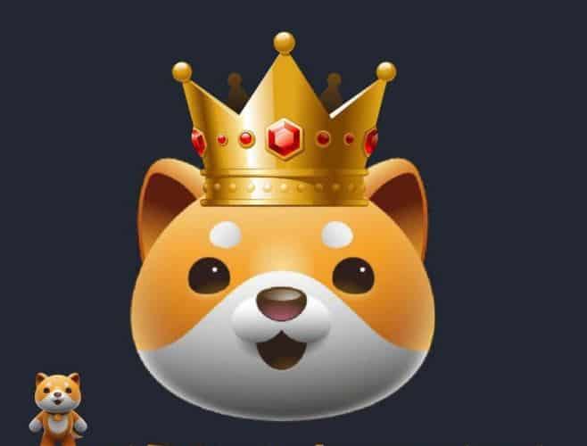 babydoge-launches-first-play-to-earn-p2e-game-on-decentraland-and-nbsp-the-crypto-basic