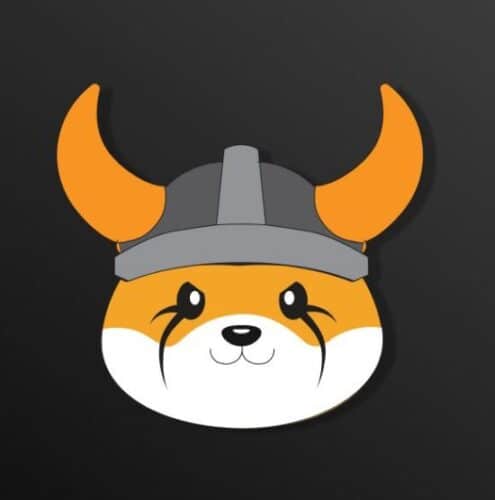 floki inu
