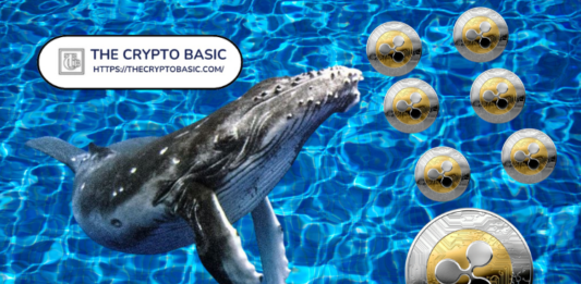 Ripple XRP Whales