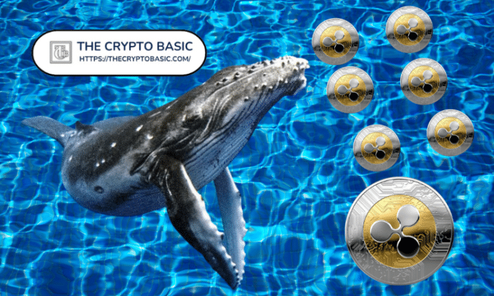Ripple XRP Whales