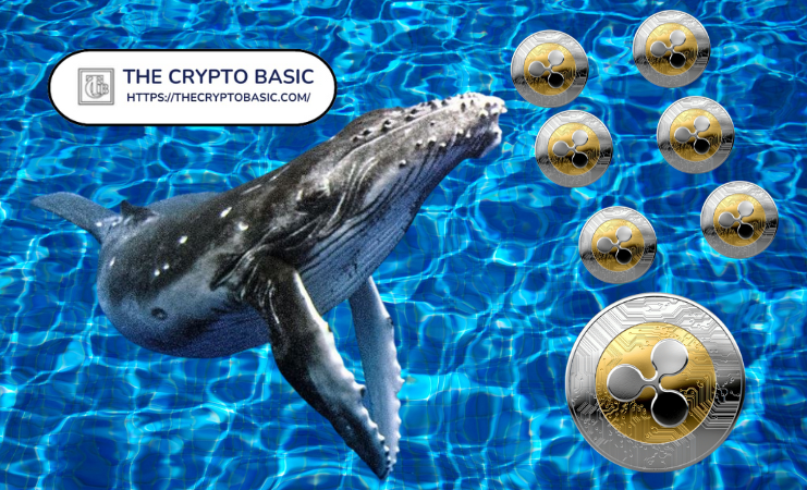 Ripple XRP Whales