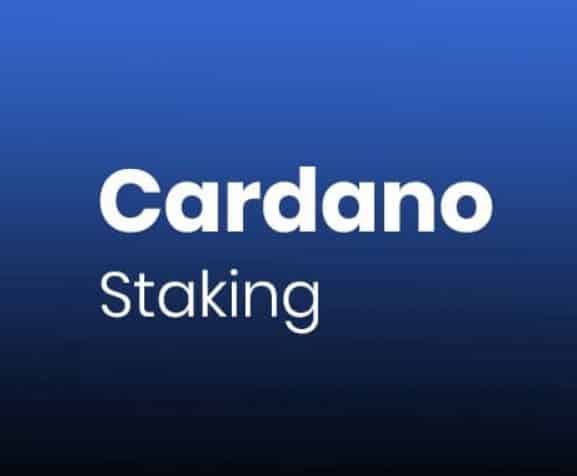 cardano staking