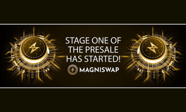 Meet Magniswap: The DeFI-Ender of The Common Man