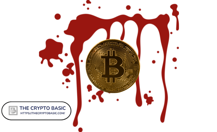 More blood for Bitcoin