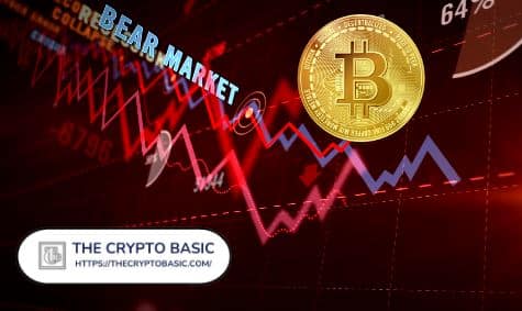 crypto market fall along with bitcoin