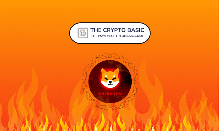 Mysterious Wallet Burns 116 Million Shiba Inu, 132 Million Shib Destroyed In 24 Hours