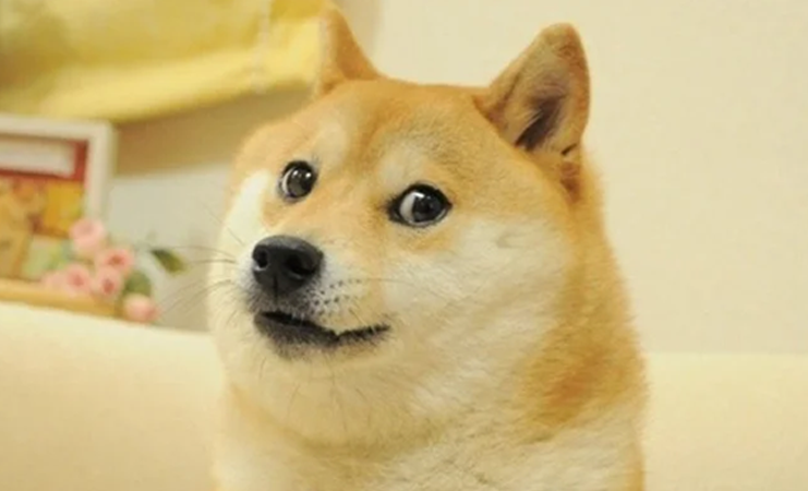 DOGECoin CryptoCurrency