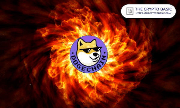 Dogechain Shares 80% DC Supply Burn Proof