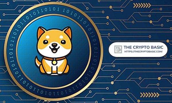 Top Singapore Crypto Exchange Lists BabyDoge Coin