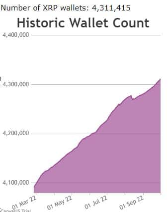 XRP pénztárcák száma 4 millió felett