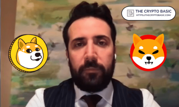 David Gokhshtein: Dogecoin and Shiba Inu Gave People More Gains Than Bitcoin 