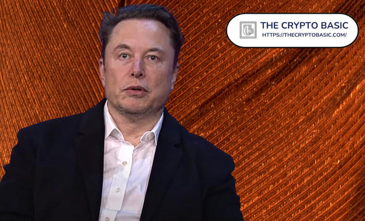 Elon Musk Slams Wall Street