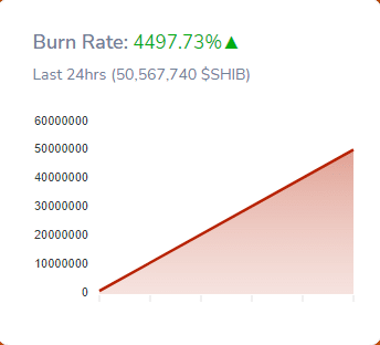 Shiba Inu 연소율, 지난 4497.73시간 동안 24% 급증