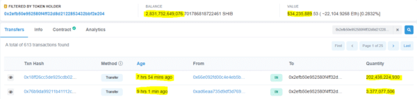 24 နာရီအတွင်းထိပ်တန်း SHIB Whale စုဆောင်းမှု