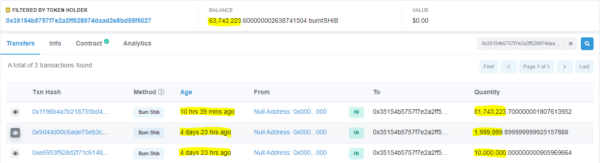 Unknown Wallet Burned 63.74 Million SHIB since November 11th